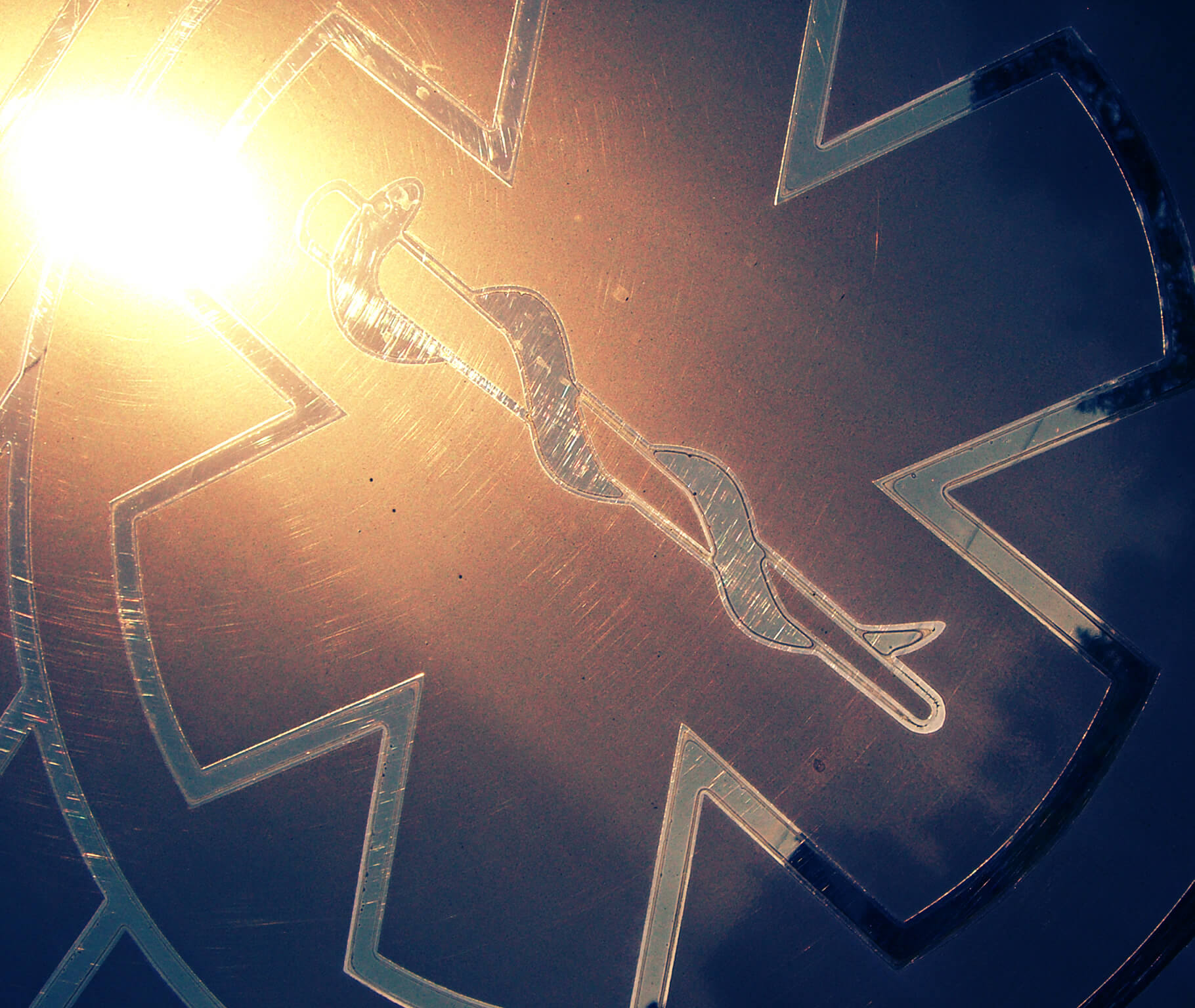 HC-Rod-of-Asclepius-glass (1)